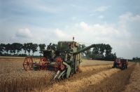 geschiedenis/werkzaamheid -> Tarwe oogst